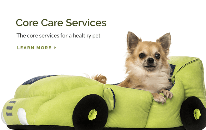 Limehouse Veterinary Clinic | Glendale Animal Hospital