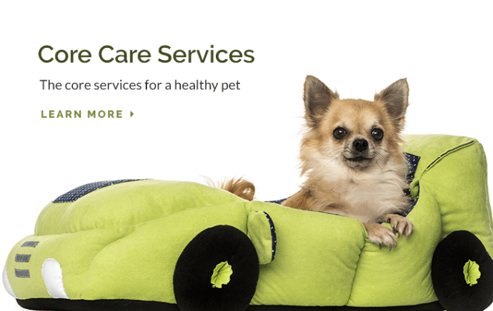 Limehouse Veterinary Clinic | Glendale Animal Hospital Limehouse Veterinary Clinic | Glendale Animal Hospital
